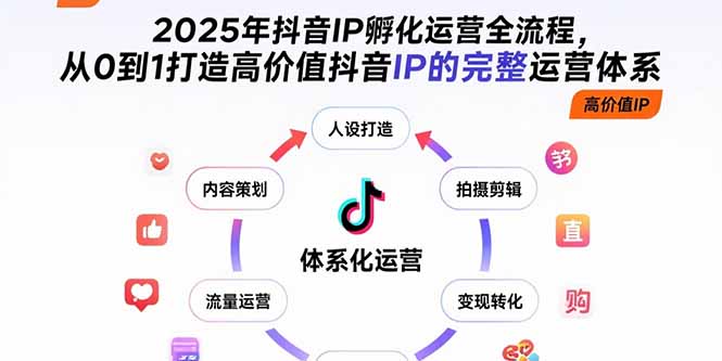 2025年抖音IP孵化运营全流程，从0到1打造高价值抖音IP的完整运营体系-奇奇网创