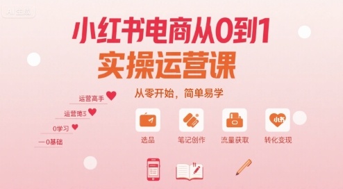 小红书电商从0到1实操运营课，从零开始，简单易学-奇奇网创