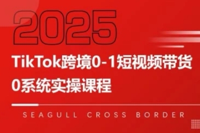 TikTok跨境0-1短视频带货，系统拆解TikTok跨境带货全链路，实现跨境可持续盈利-奇奇网创