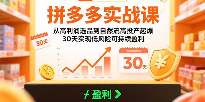 拼多多实战课：从高利润选品到自然流高投产起爆 30天实现低风险可持续盈利-奇奇网创