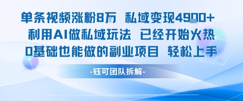 单条视频私域变现4.9k+利用AI做私域玩法 已经开始火热0基础也能做的副业项目轻松上手-奇奇网创