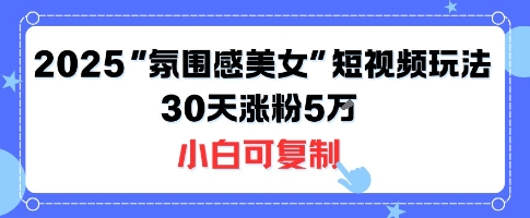 不露脸也能火！2025“氛围感美女”短视频玩法，30天涨粉5W小白可复制-奇奇网创