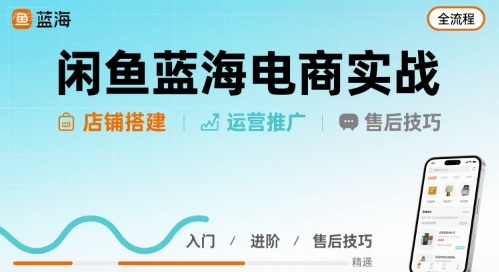 闲鱼蓝海电商实战，店铺搭建运营售后全流程-奇奇网创