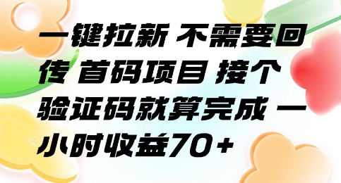 一键拉新 不需要回传 首码项目 接个验证码就算完成 一小时收益70+【揭秘】-奇奇网创