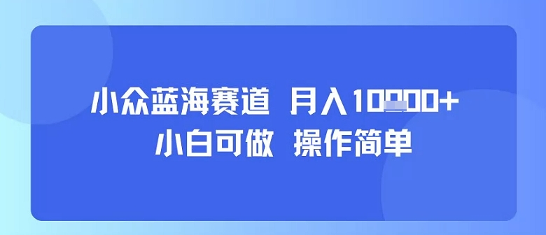 小众蓝海赛道，小白可做，操作简单，每天30分钟，月入1W+-奇奇网创