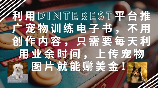 利用Pinterest平台推广宠物训练电子书，不用创作内容，只需要每天利用业余时间，上传宠物图片就能挣美金!-奇奇网创
