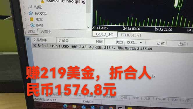 图片[2]-稳定8年的美刀搬砖项目，单人每日收益800—3000.团队4人月入10W+.可线下-奇奇网创