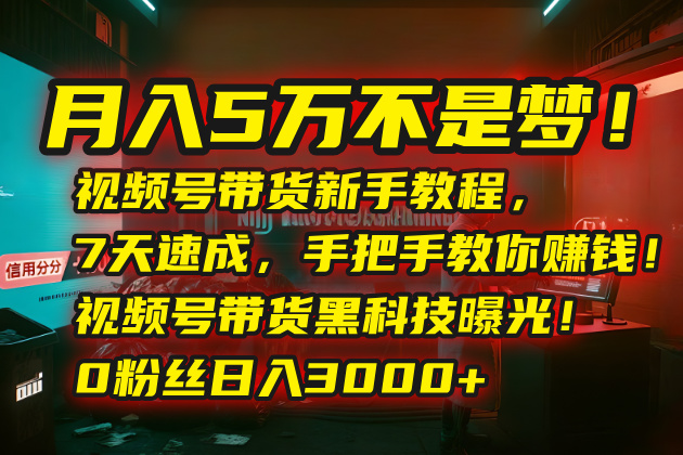 月入5万不是梦！视频号带货新手教程，7天速成，手把手教你赚钱！视频号…-奇奇网创