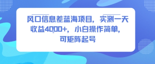 风口信息差蓝海项目，实测一天收益4k+，小白操作简单，可矩阵起号-奇奇网创