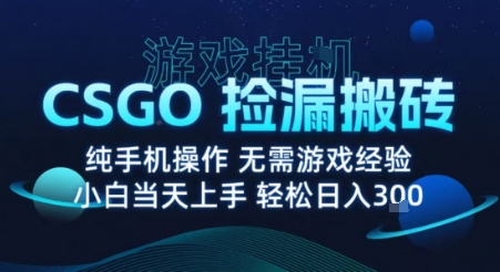 8月最新游戏搬砖，CSGO纯挂G，不需要玩游戏，实现真挂G，月入1W+【揭秘】-奇奇网创