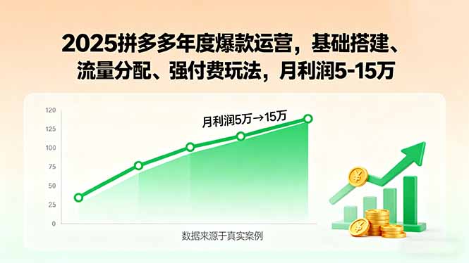 2025拼多多年度爆款运营，基础搭建、流量分配、强付费玩法，月利润5-15万-奇奇网创