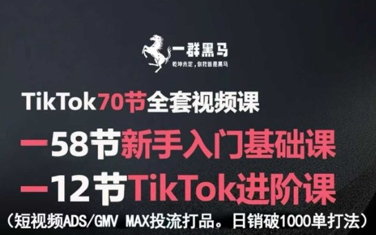 TikTok全套视频课，新手入门+进阶课，短视频ADS-GMV MAX投流打品，日销破1000单打法-奇奇网创