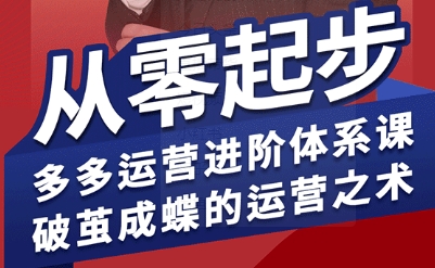 拼多多运营进阶系统课，从零起步，多多运营进阶体系课，破茧成蝶的运营之术(更新9月)-奇奇网创