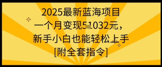 2025最新蓝海项目一个月变现1w+新手小白也能轻松上手【附全套指令】-奇奇网创