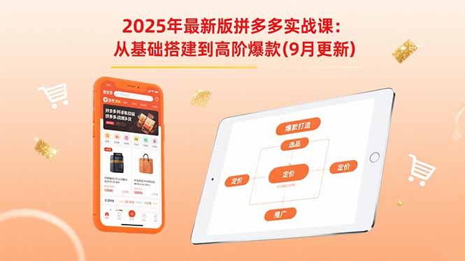 2025年最新版拼多多实战课：从基础搭建到高阶爆款(9月更新-奇奇网创