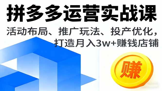 拼多多运营实战课，活动布局、推广玩法、投产优化，打造月入3w+赚钱店铺-奇奇网创