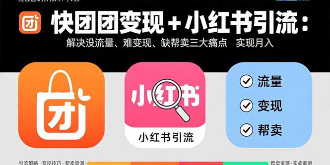 快团团变现+小红书引流：解决没流量、难变现、缺帮卖三大痛点 实现月入3w+-奇奇网创