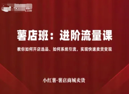 小红薯薯店商城卖货，进阶流量课，教你如何开店选品、如何系统引流，实现快速卖货变现-奇奇网创