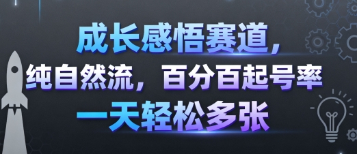 成长感悟赛道，纯自然流，百分百起号率 一天轻松多张-奇奇网创