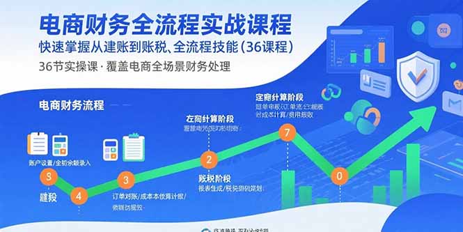 电商财务全流程实战课程：快速掌握从建账到报税的全流程技能(36节课-奇奇网创