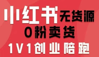 小红书无货源0粉电商课，开店准备、选品策略、笔记撰写、视频剪辑、数据分析、账号打造、资料文档-奇奇网创