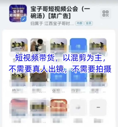 宝子哥头部团队短视频带货，以混剪为主，不需要真人出镜，不需要拍摄【更新9月】-奇奇网创