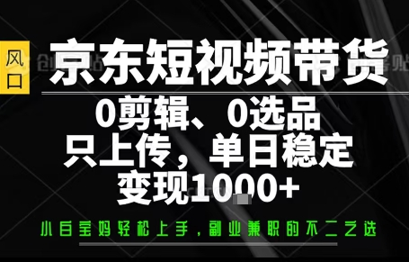 你出账号，我来运营，保底日入1k+，开启躺賺模式【揭秘】-奇奇网创