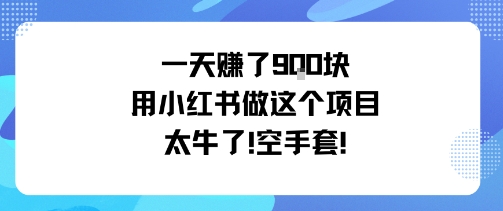 一天挣了9张用小红书做这个项目太牛了，空手套-奇奇网创