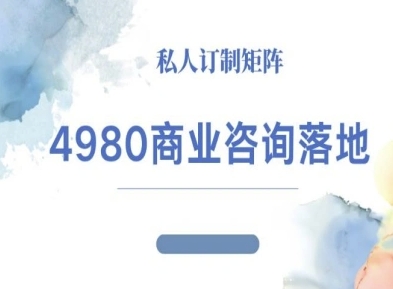4980商业咨询师落地课程-ip运营高客单教程-奇奇网创