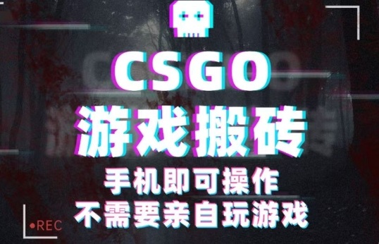 CSGO游戏挂G捡漏，单日扫货5张+，年底小高峰上车可吃肉，手机即可操作，兼职副业创业网创【揭秘】-奇奇网创