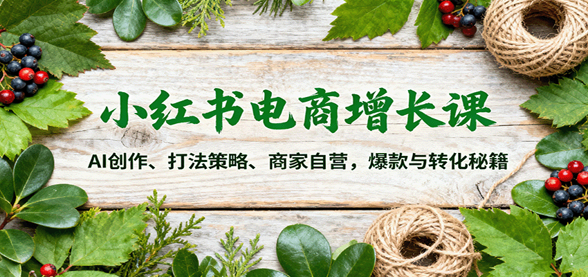 小红书电商增长课：AI创作、打法策略、商家自营，爆款与转化秘籍-奇奇网创