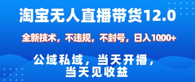 淘宝无人直播12.0，公域私域技术，不封号，不违规布局双十一流量风口，日入1k(独家技术)【揭秘】-奇奇网创