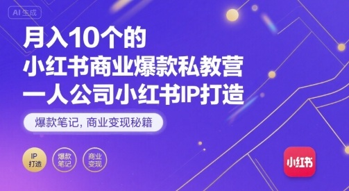 月入10个的小红书商业爆款私教营，一人公司小红书IP打造，爆款笔记，商业变现秘籍-奇奇网创