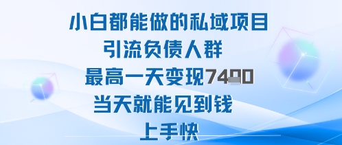 2025年小白都能做的私域项目引流负债人群最高一天变现1k+高变现难度低当天就能见到钱上手快-奇奇网创