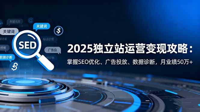 2025独立站运营变现攻略：掌握SEO优化、广告投放、数据诊断，月业绩50万+-奇奇网创
