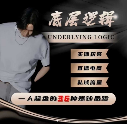 一个人起盘的底层逻辑，私域流量-直播电商-实体获客，一人起盘的36种賺钱思路-奇奇网创