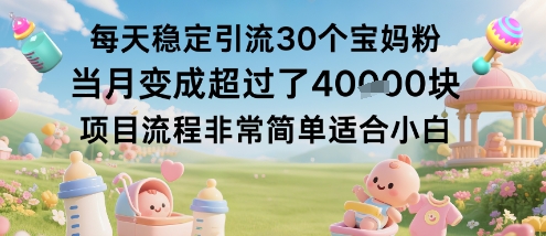 每天稳定引流30个宝妈粉当月变成超过了1W+项目流程非常简单适合小白-奇奇网创