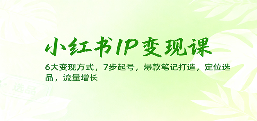 小红书IP变现课：6大变现方式，7步起号，爆款笔记打造，定位选品，流量增长-奇奇网创