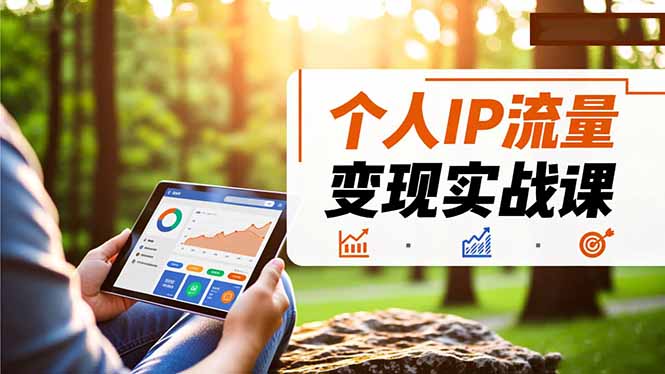 个人IP流量变现实战课，涵盖多平台引流、打造个人IP并实现稳定流量变现-奇奇网创