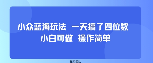 小众蓝海玩法 一天搞了四位数 小白可做 操作简单-奇奇网创