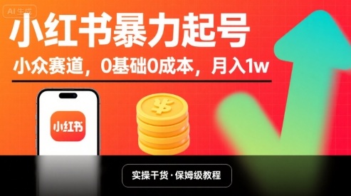 小红书暴力起号，小众赛道，0基础0成本，月入1w-奇奇网创