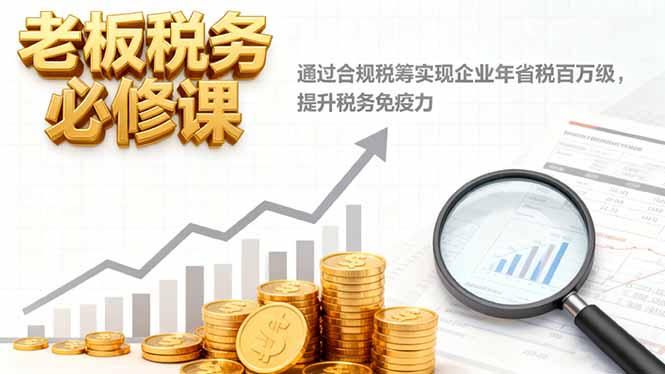 老板税务必修课，通过合规税筹实现企业年省税百万级，提升税务免疫力-奇奇网创