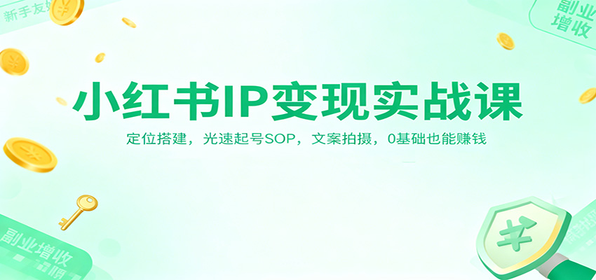 小红书IP变现实战课：定位搭建，光速起号SOP，文案拍摄，0基础也能赚钱-奇奇网创