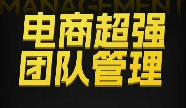 电商超强团队管理，组织绩效，到用人执行，分权合伙-奇奇网创