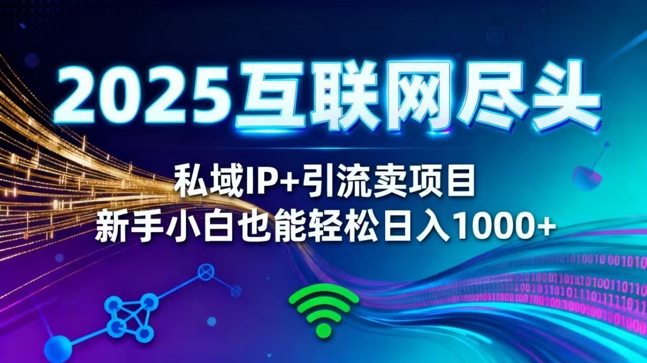 2025网创尽头王炸项目！私域 IP + 精准引流，新手小白在家躺赚日入 1000+-奇奇网创
