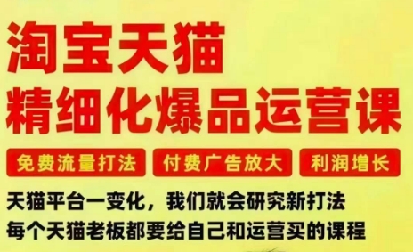 淘宝天猫精细化爆品运营课,免费流量打法-付费广告放大-利润增长-三大核心痛点,一次全部解决-奇奇网创