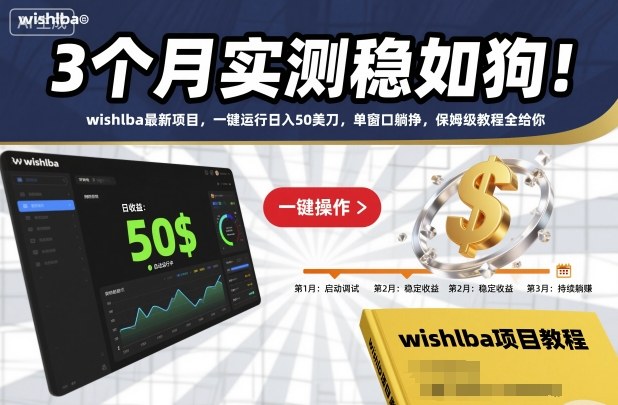 3个月实测稳如狗！wishlba最新项目，一键运行日入50美刀，单窗口躺挣，保姆级教程全给你【揭秘】-奇奇网创