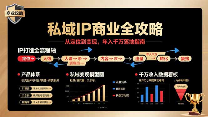 私域IP商业全攻略，从定位到变现，年入千万落地指南-奇奇网创