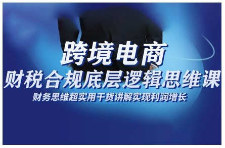 跨境电商财稅合规底层逻辑思维课，财务思维超实用于货讲解实现利润增长-奇奇网创