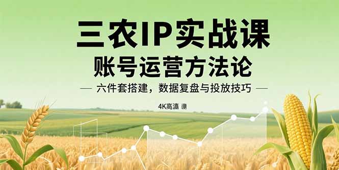 三农IP实战课：账号运营方法论，六件套搭建，数据复盘与投放技巧-奇奇网创